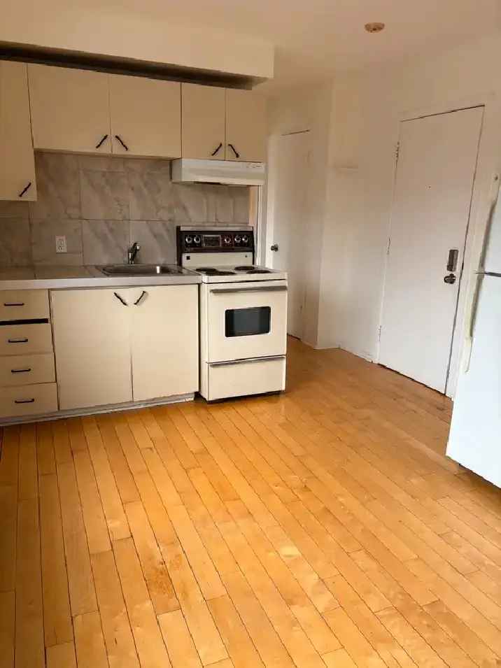 1 Bedroom Apartment for Rent in Rosemont