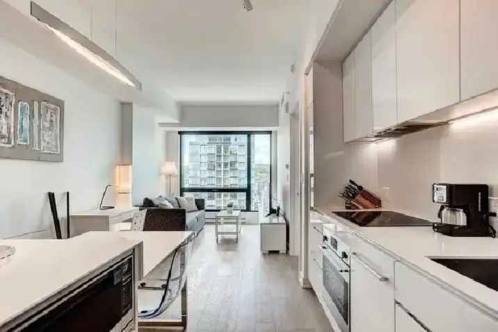 Condo for Rent 3 1/2 Tour des Canadiens 1