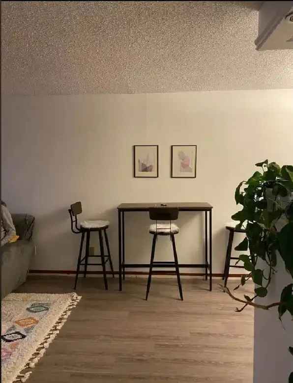 Furnished Edmonton Condo 1-Bedroom Available Now