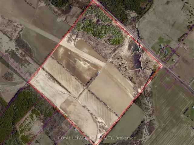 101.08 Acres Vacant Farmland Near Orton