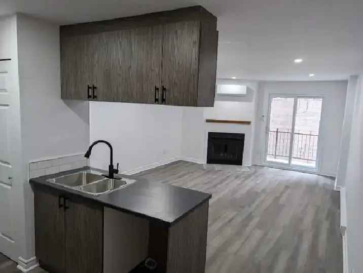 Completely Renovated 4 1/2 Plateau Mont Royal