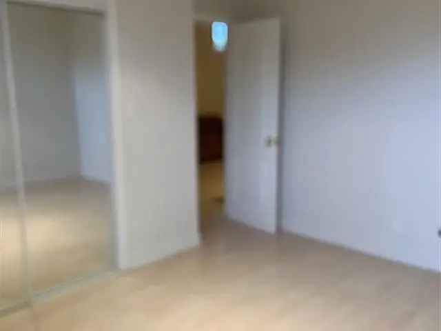 One Bedroom Basement Apartment in Bolton South Hill