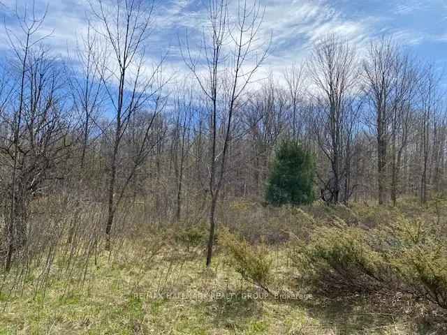 3-Acre Building Lot with Big Rideau Lake Access