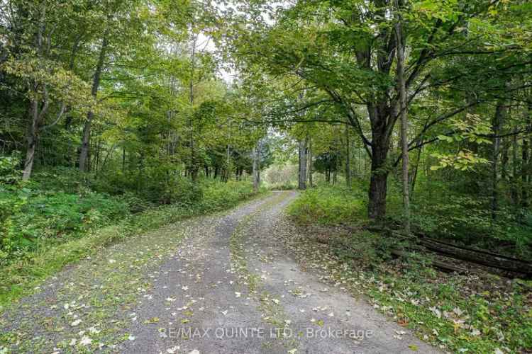 Buy Custom Built Home with 39 Acres of Paradise and Barn