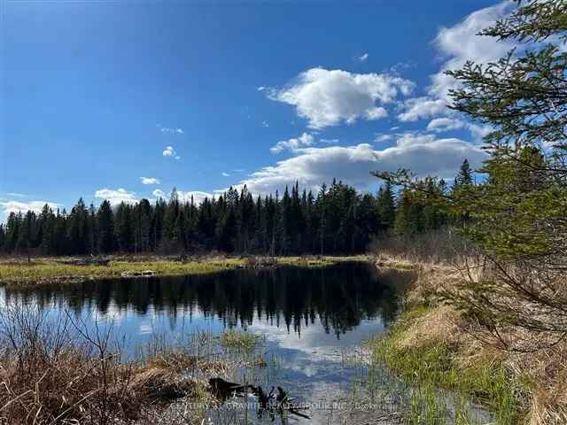 8 Acre Off Grid Lot Egan Creek Access Hunting Retreat