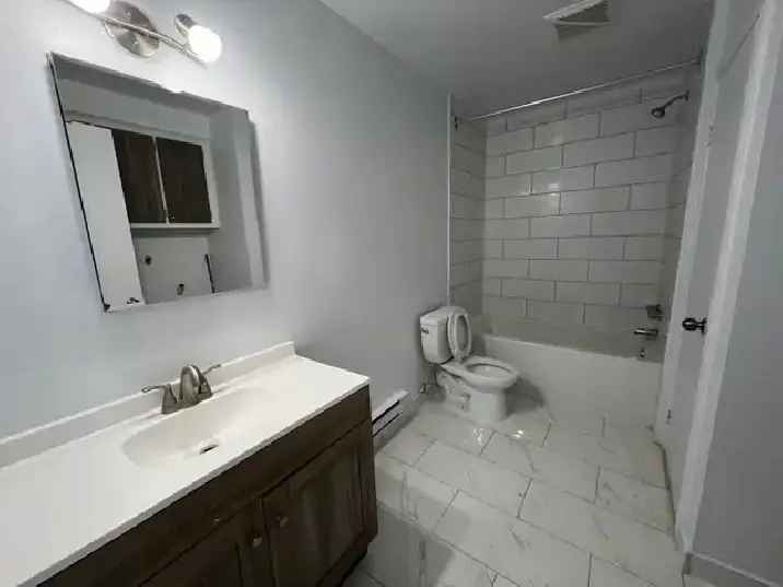 Spacious 4 1 2 Apartment Rental Villeray Near Fabre Metro
