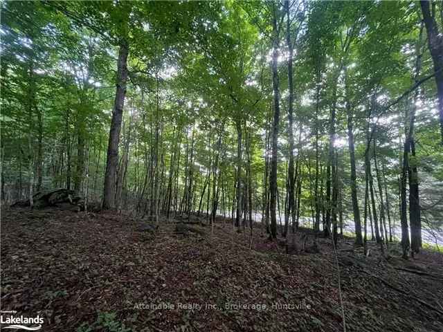 10 Acre Building Lots Muskoka Huntsville Lake Vernon