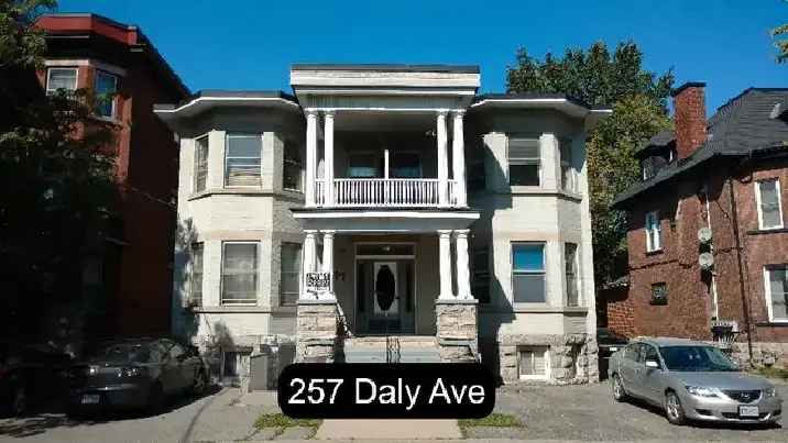 Rent Basement Apartment in Sandy Hill near University of Ottawa