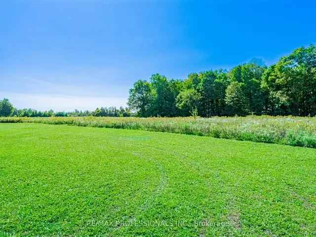 8.8 Acres of Land with Income Potential Near Georgetown