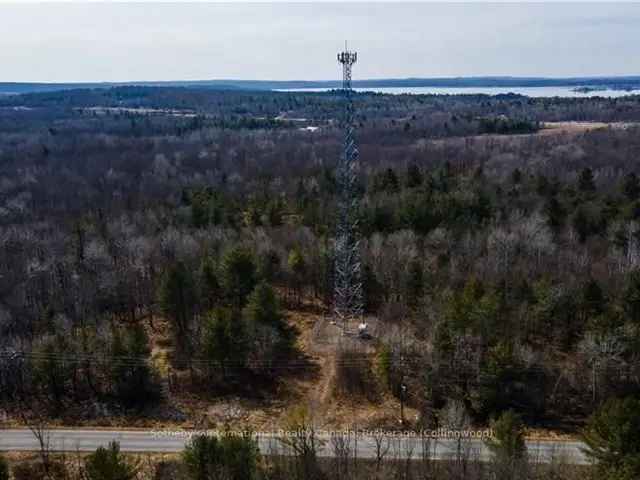 119 Acres with Highway 400 Frontage CommercialResidential Potential