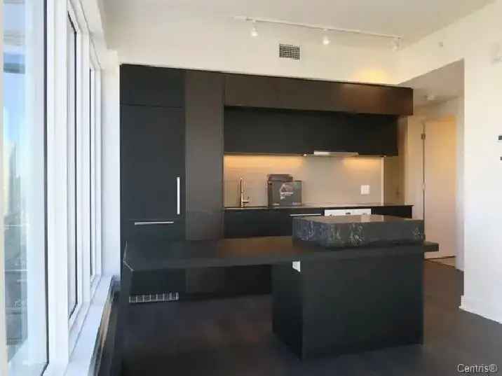 Rent Luxury Condo 4 ½ in Downtown Montreal with Garage Locker