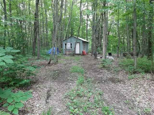 3_4 Acre Wooded Lot with Cabin Hunting Getaway