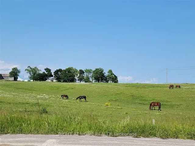 Equestrian Dream Property 49.5 Acres with Two Homes and Large Barn