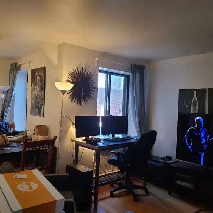 Furnished 3 1/2 Condo near McGill Concordia