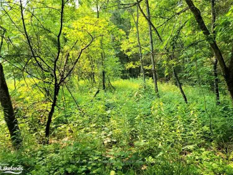 Land For Sale in Brockville, Ontario