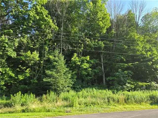 Build Your Dream Home on this Exceptional Treed Property