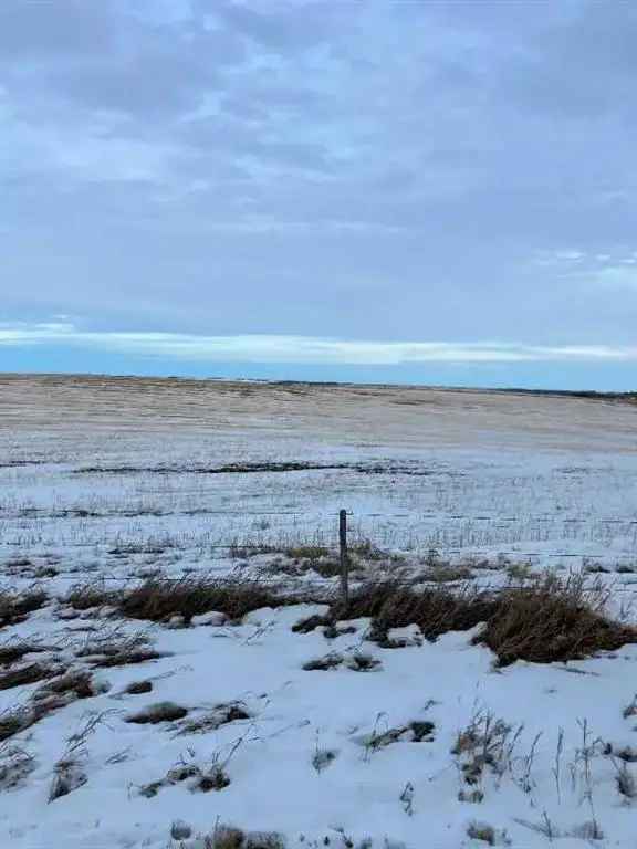 155 Acres Cultivated Land with Grain Bins