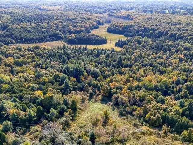 119 Acres Quiet Property Near Maberly Dream Home Retreat