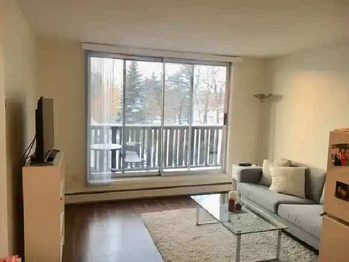 Nice & bright 1 bed. apartment in Kensington, near LRT, DT, SAIT