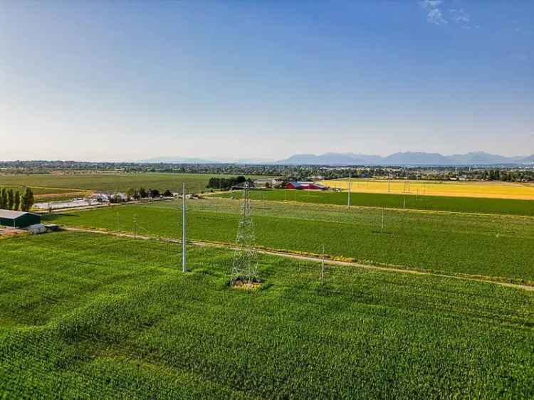 Delta Farmland 135 Acres 3 Homes Shop Hwy 17