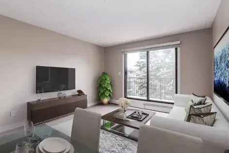 1 room apartment of 46 m² in Calgary