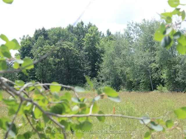 5-Acre Lot for Sale - Build Your Dream Home