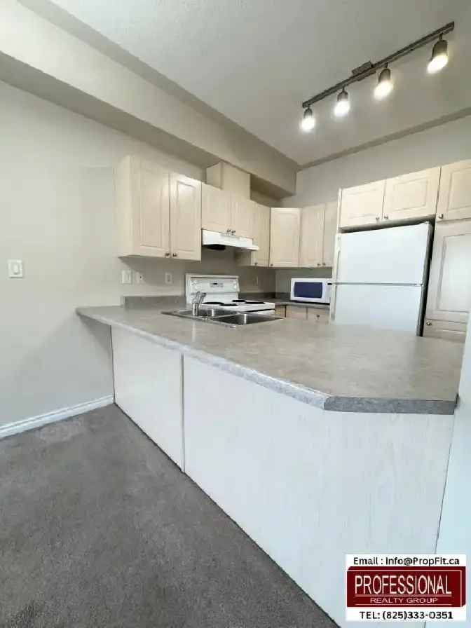 Rent 2 Bedroom Condo in Downtown with Modern Amenities