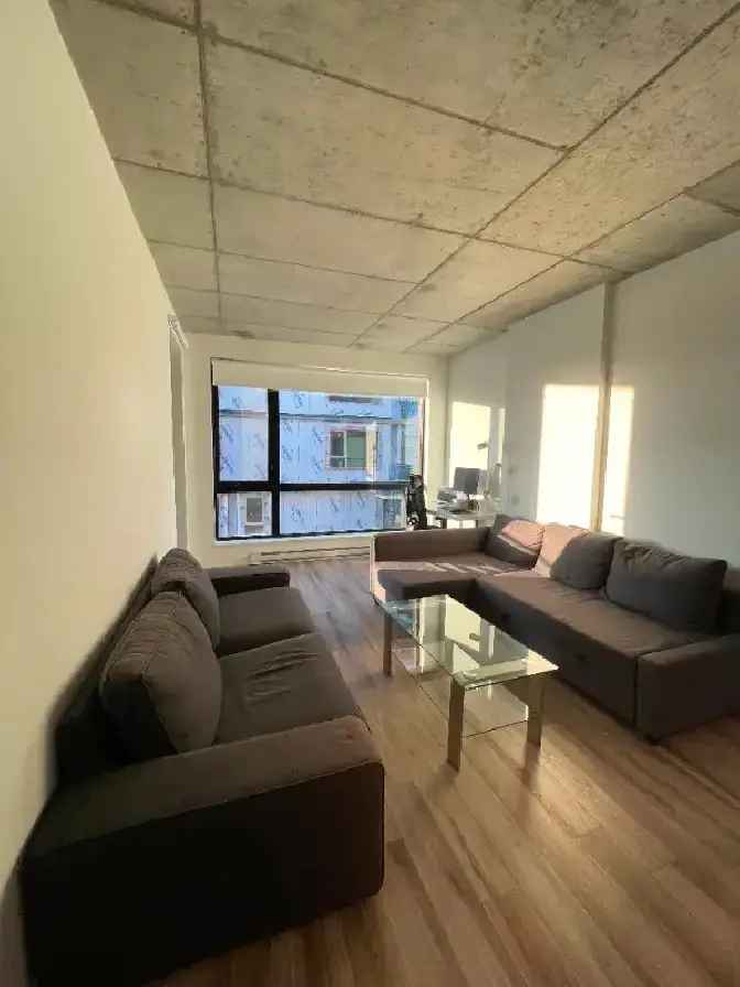 3 1/2 Luxury Condo Griffintown 1bedroom/chambre a louer/for rent