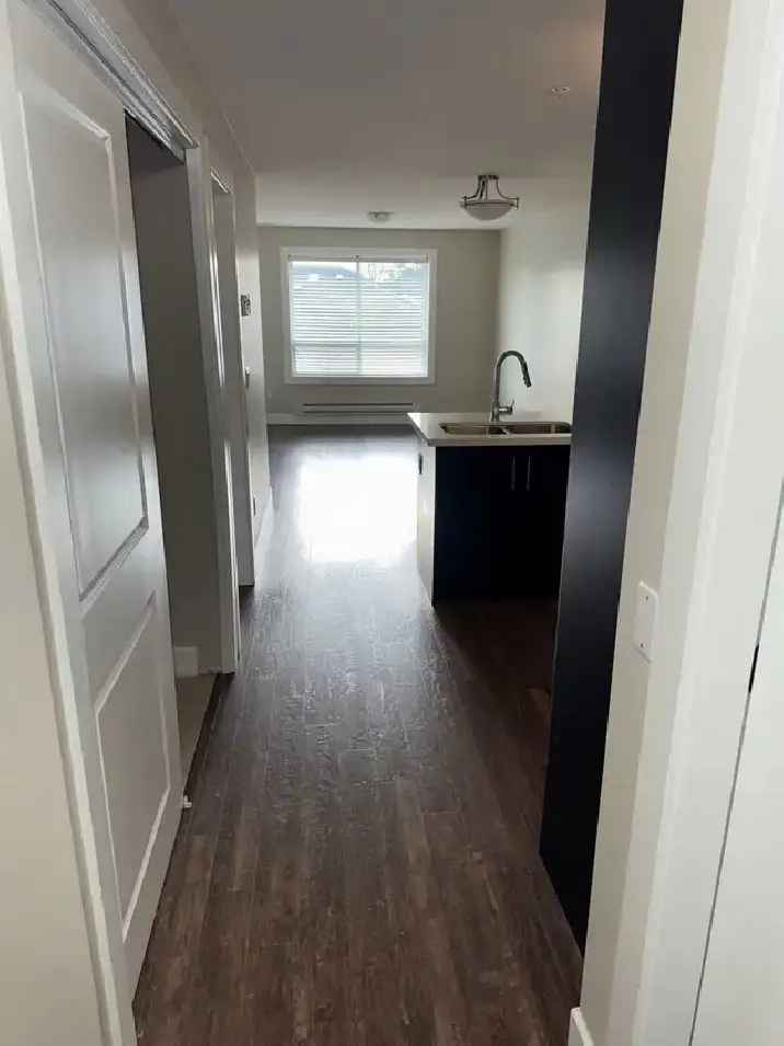 Beautiful 1 Bed Apartment - Near E 41st & Kingsway