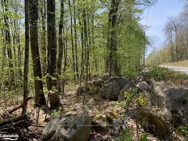 2.1 Acre Building Lot Near Magnetawan and Burks Falls