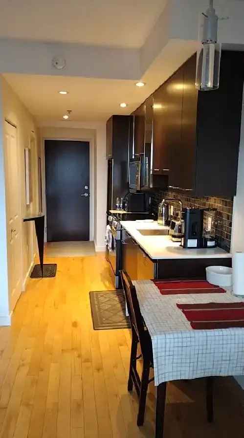 Spacious studio fully furnished downtown Montreal option garage