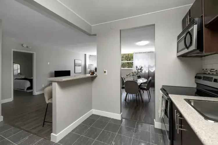 Rent Renovated Apartment Near UWaterloo with Modern Features