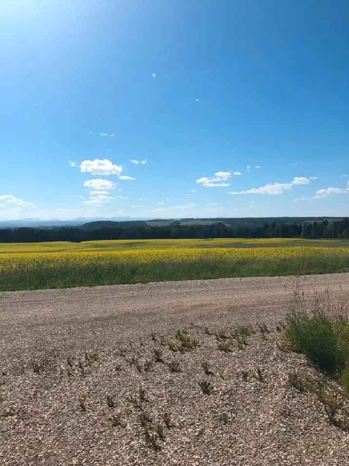 4 Acres Mountain View County Land for Sale