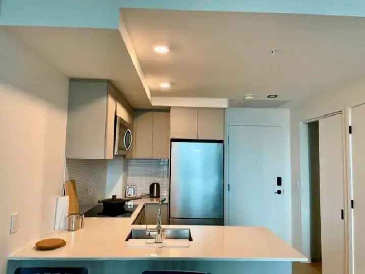 Maestria Luxury Condo 1BR Downtown Montreal