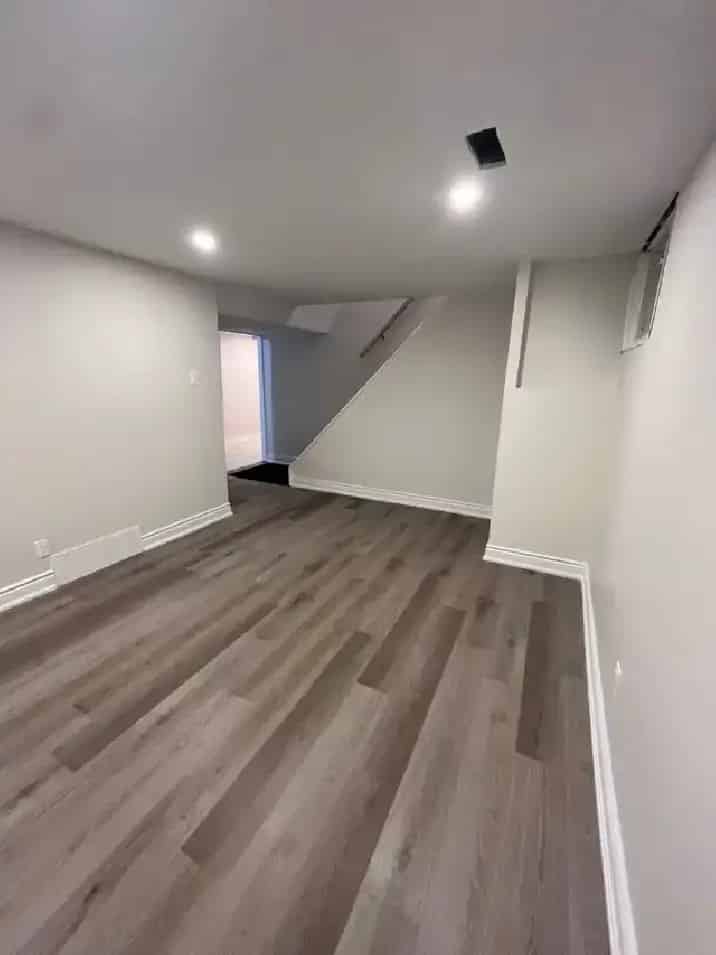 Large 1 Bedroom Basement Apartment for Rent