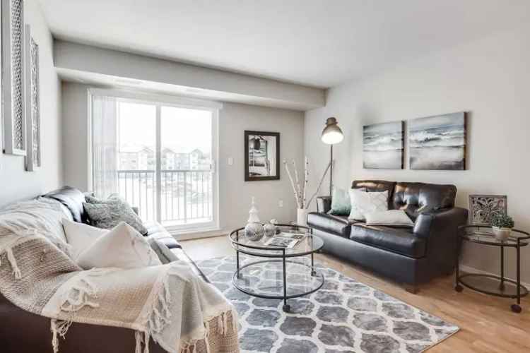 Rent Modern 1 2 3 Bedroom Apartments in Winnipeg with Great Amenities