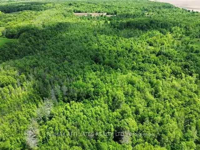 95-Acre Property in Rideau Lakes with Pond and Bushland