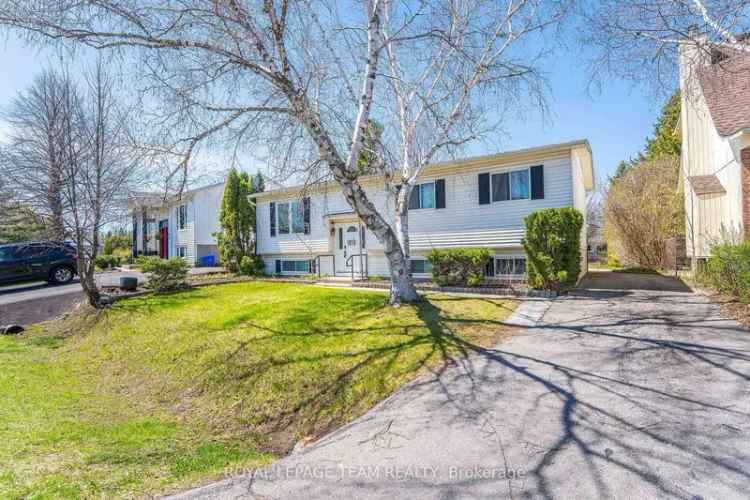 High Ranch Bungalow Renovation Opportunity in Fringewood