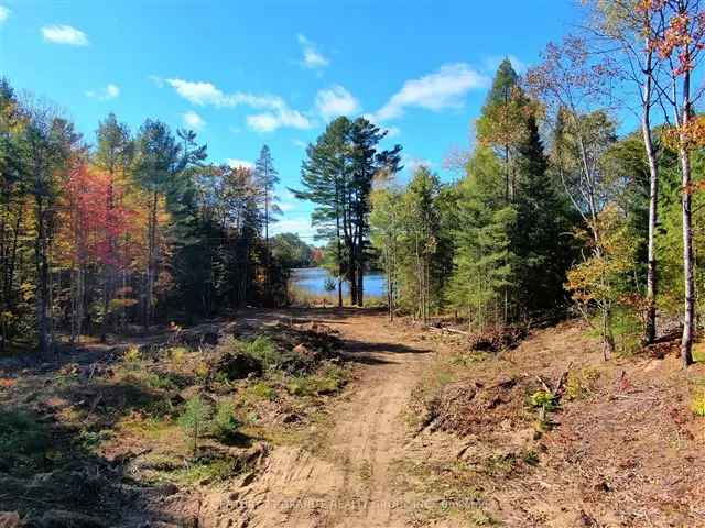 Nature Lover's Paradise on Stimears Lake - 15 Acres