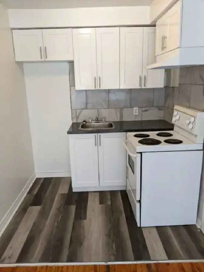 Spacious 3 1/2 Apartment Near Lachine Canal