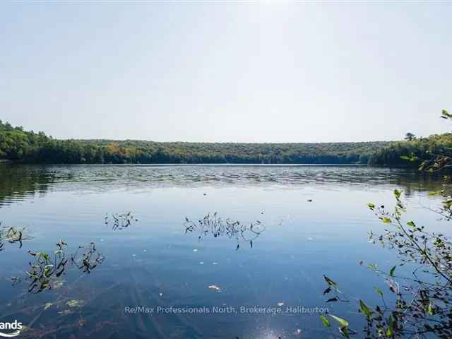 Three Waterfront Lots on Coleman Lake Peaceful Retreat