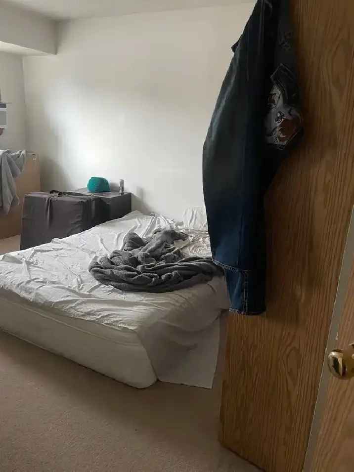 2 bedroom apartment