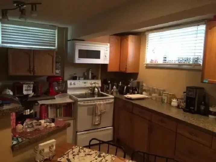 Newly Renovated 1 Bedroom Suite in Rosscarrock