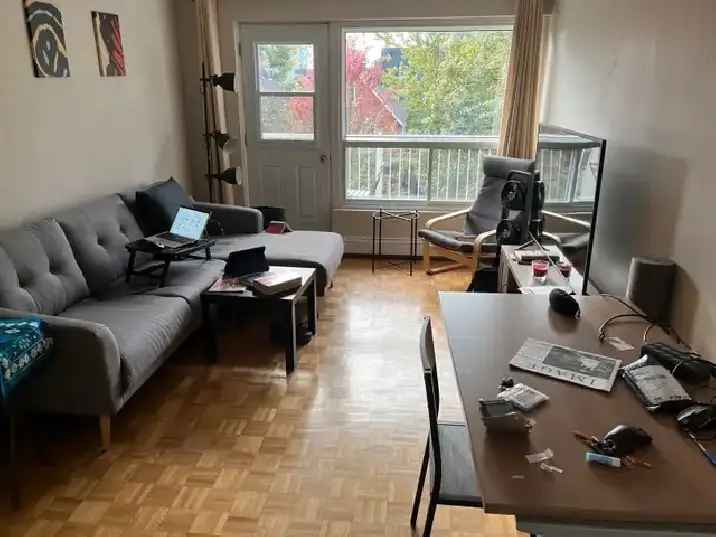 1 bedroom apartment $1495 Sandy Hill