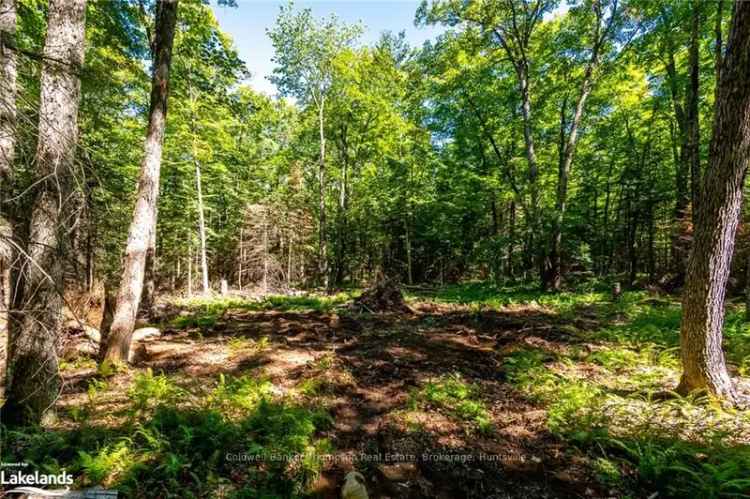 Land For Sale in Armour Township, Ontario