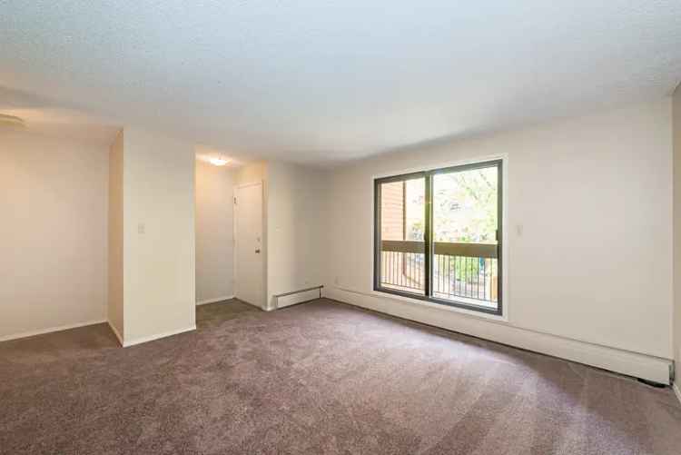 Rent 2 Bedroom Apartment in Edmonton with Pet Friendly Features