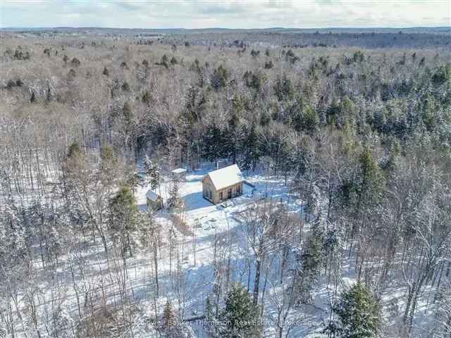 Rustic Post & Beam Cabin Retreat near Burk's Falls