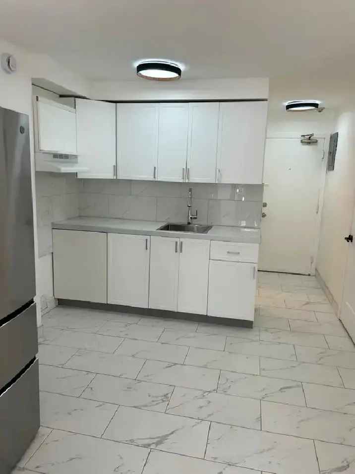 1 Bedroom Apartment for Rent in Rosemont