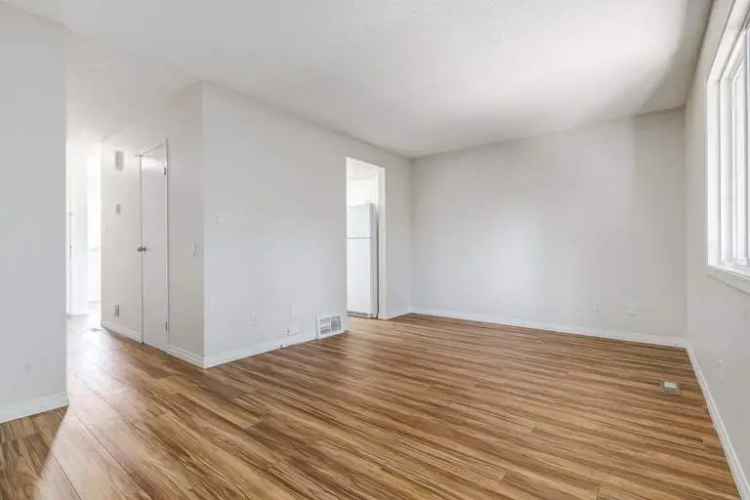 Rent Apartment in Edmonton with Spacious Suites and Pet Friendly Policies