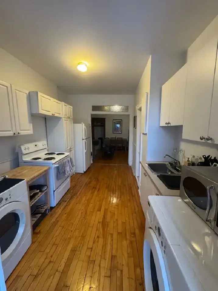 Rent 4 1 2 Furnished Apartment Near Beaubien Metro